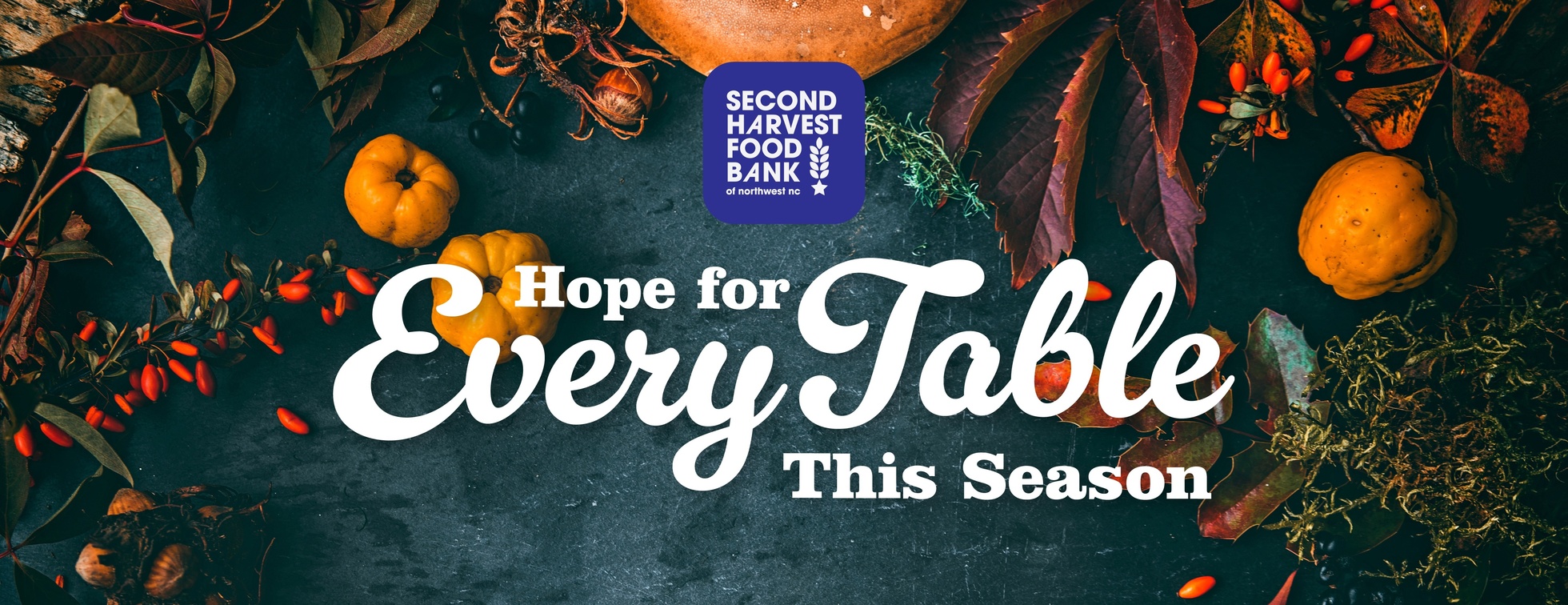 Feed Community Now Virtual Food Drive